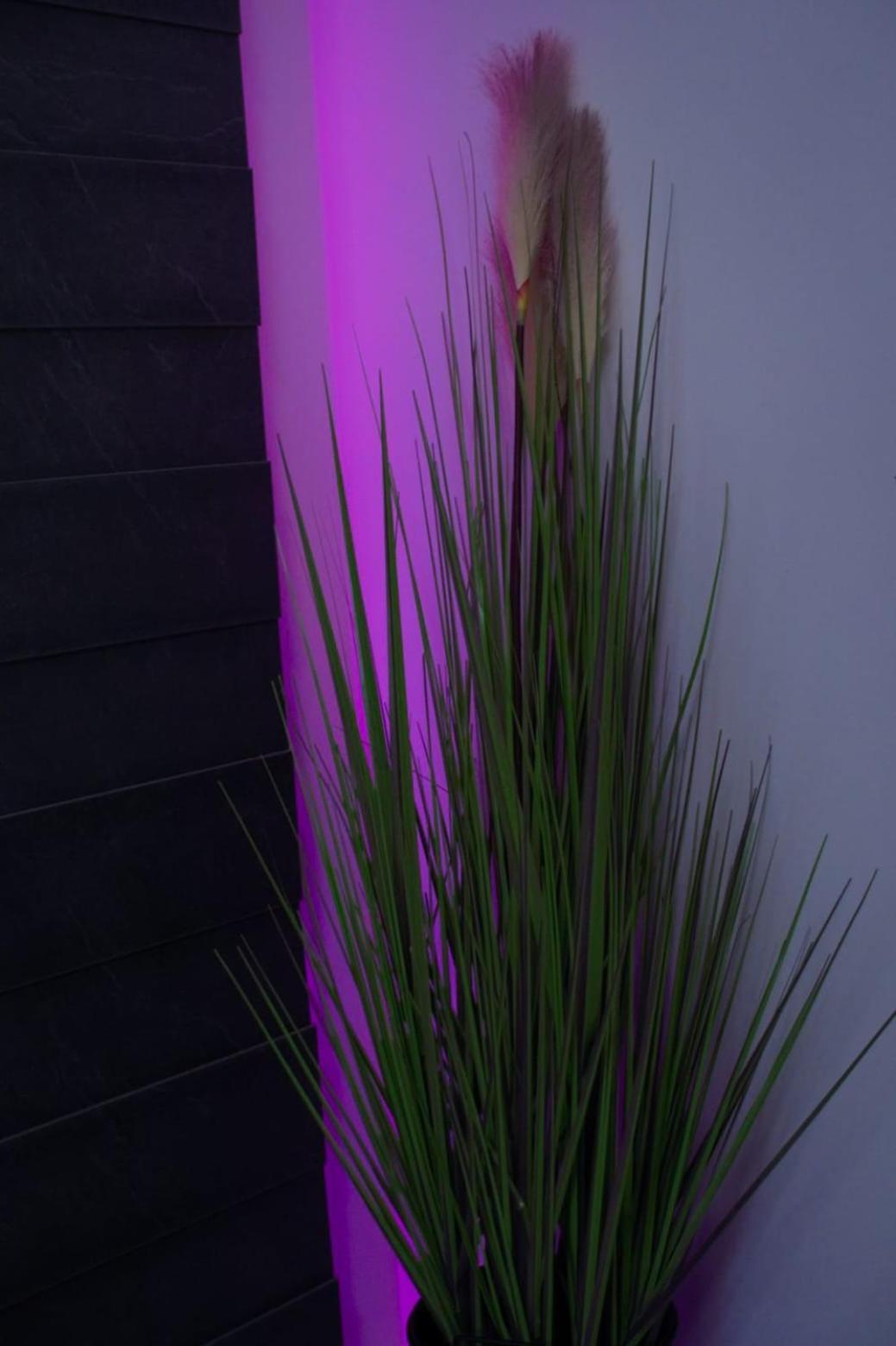 Apartman Mihovil กอสปิช ภายนอก รูปภาพ